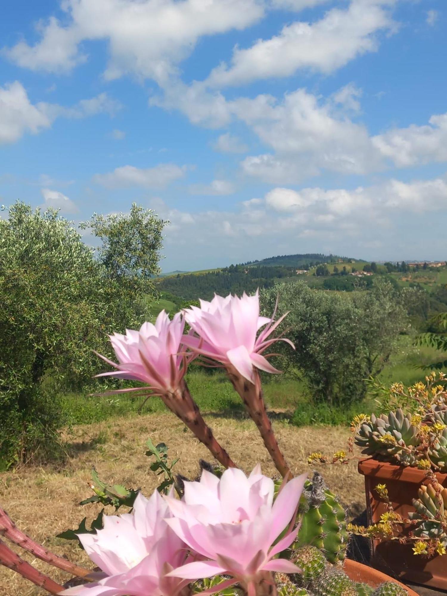 Chianti Art Room Poggibonsi Exterior foto