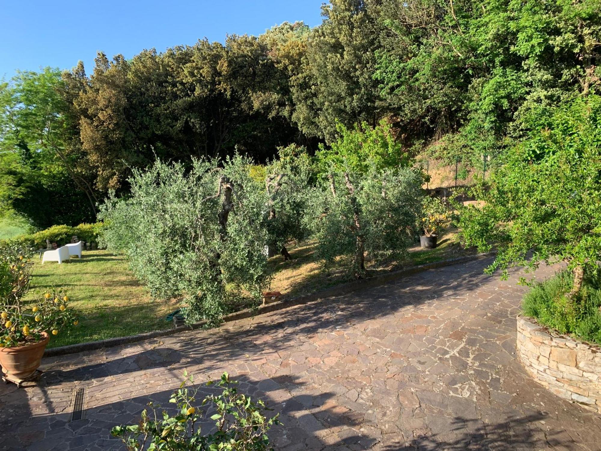 Chianti Art Room Poggibonsi Exterior foto
